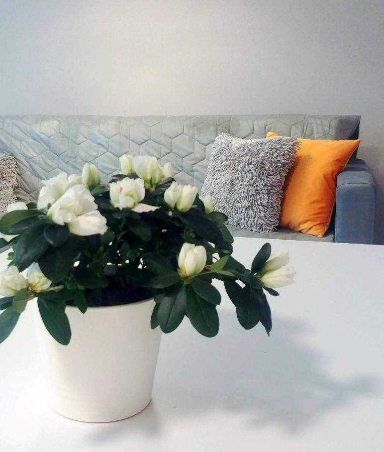 Bel Mare Wyspa, Apartament Z Parkingiem Gratis เมียนซิดดรอแย ภายนอก รูปภาพ
